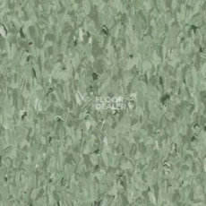 Линолеум Tarkett Iq Granit Safe T GREEN 0694 фото 1 | FLOORDEALER